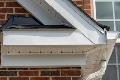 Gutter guard system with drip edge